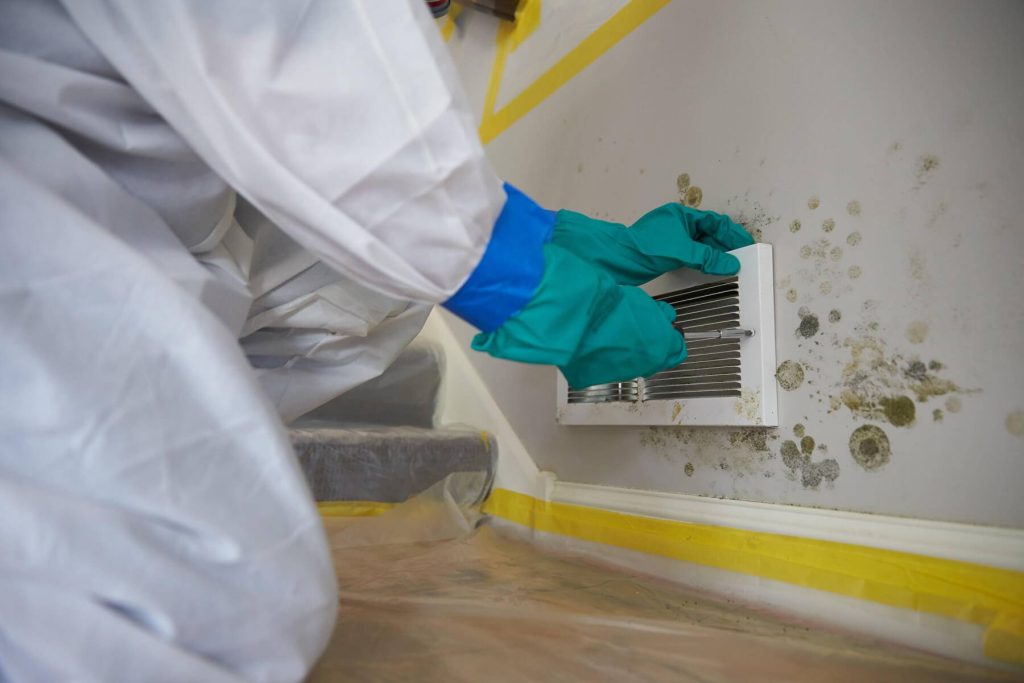 Mold Cleanup